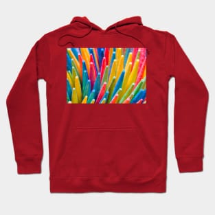 Colorful Macro Wooden Toothpicks Abstract Photography Hoodie